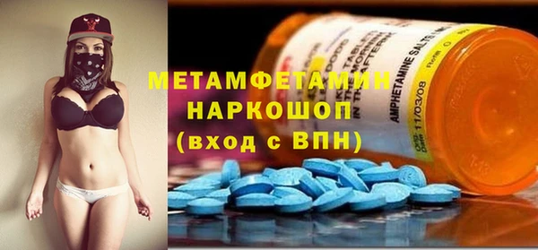 гидра Богородск