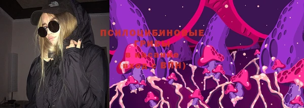mix Богородицк