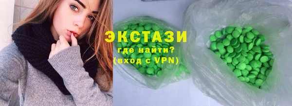 гидра Богородск