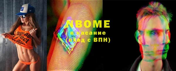 гидра Богородск