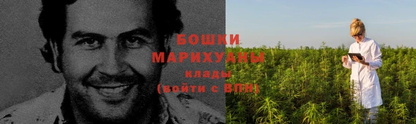 mix Богородицк