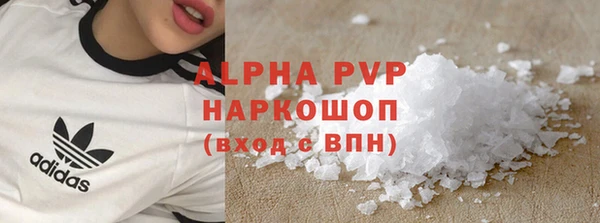 гидра Богородск
