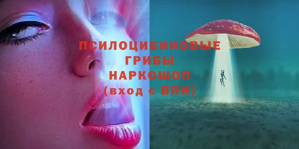 mix Богородицк