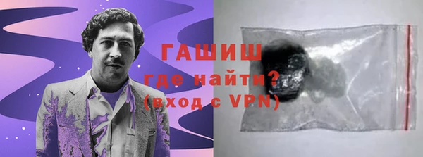 гидра Богородск