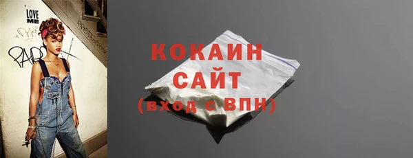 гидра Богородск