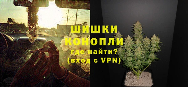 гидра Богородск