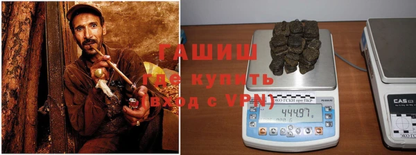 гидра Богородск