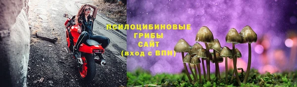 mix Богородицк