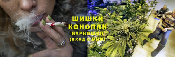 гидра Богородск