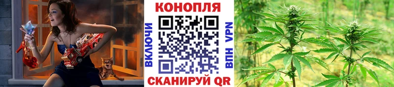 купить наркотики цена  Шелехов  Канабис гибрид 